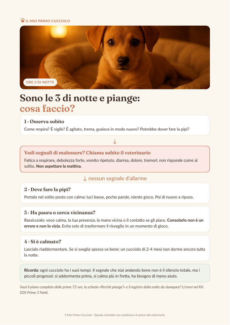 Pagina 2 della checklist: sono le 3 di notte e piange